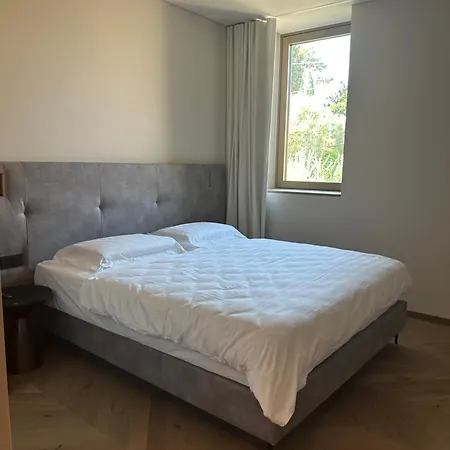Luxury La Baia - Penthouse Apartmán Torri Del Benaco
